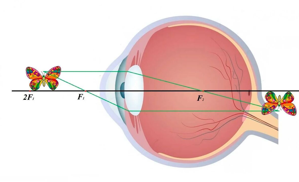 Diagramm vum visuellen System